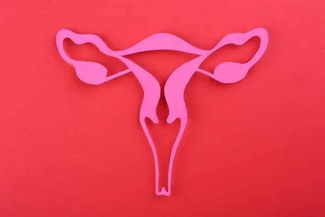 女人排卵时，身体是有感觉的？出现这些变化，避孕或备孕都得了解