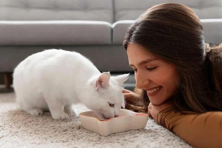 猫咪的健康守护者：全天然成分猫粮大揭秘与正确存储指南