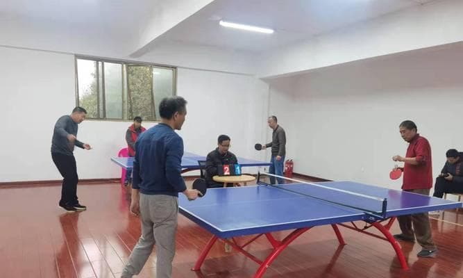 乒乓球比赛技巧：如何有效提高发球抢攻的成功率？