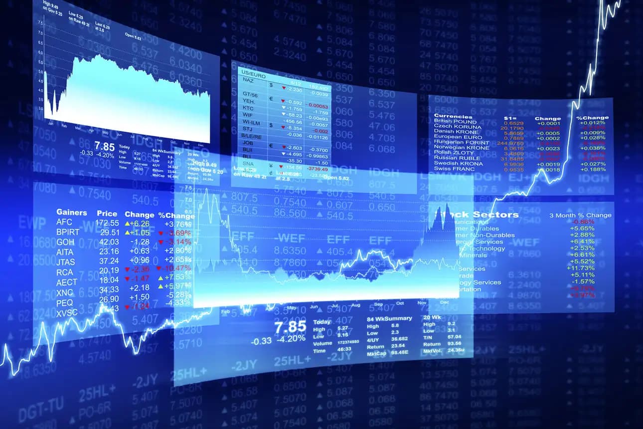 了解黑天鹅事件及其对金融市场的深远影响