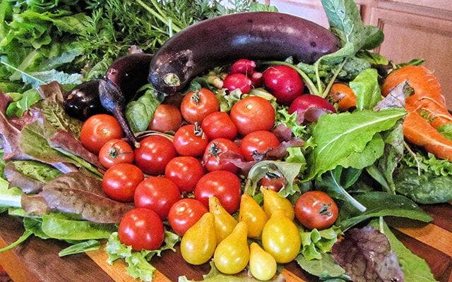 大棚蔬菜管理方法及病虫害防治 大棚蔬菜种植技术大全