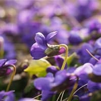 如何与老师沟通了解孩子的情况