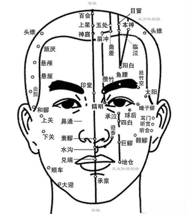 人体面部穴位及按摩图解