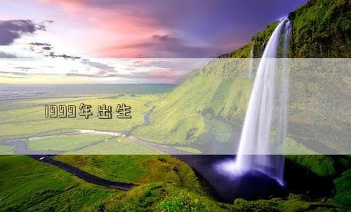 1999年属兔人2025年运势预测：事业、财运、感情全方位解析