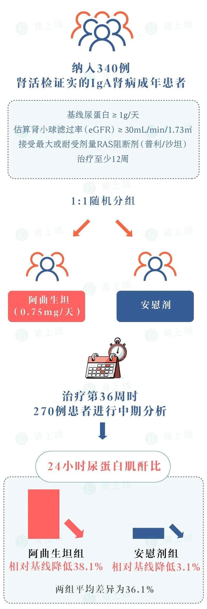 36周降低38%尿蛋白！IgA肾病又一突破性进展，阿曲生坦已在中国提交上市申请
