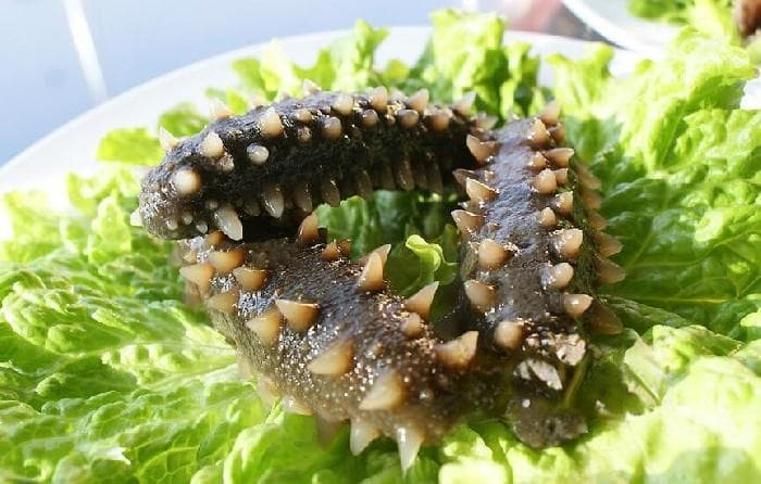 如何对海参去腥味