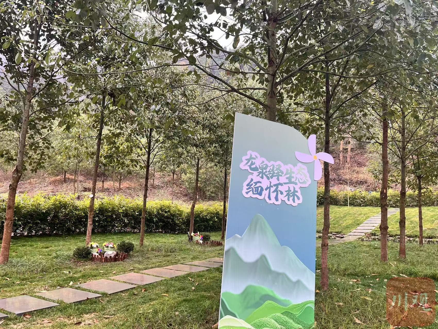 树林里，一场没有墓碑的告别仪式