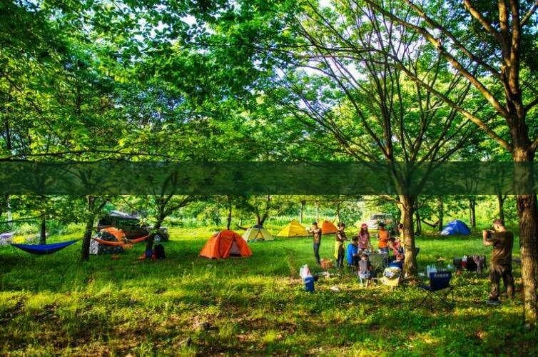 万宁旅游市场分析：淡季挑战与全年旅游策略探讨