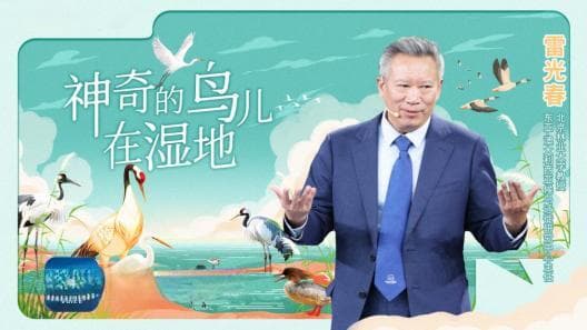 撒贝宁说，看一眼东台“小精灵”就是赚到了！