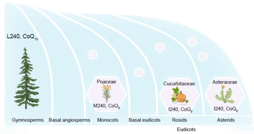 中国科学院分子植物卓越中心在Nature和Cell上在线发表重要研究进展