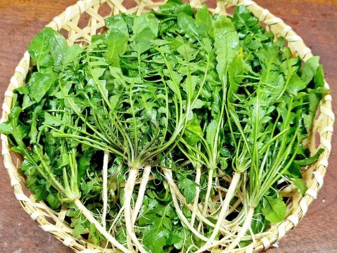 春天，菠菜韭菜靠边站，一定要吃这“菜中人参”！鲜嫩营养正当季