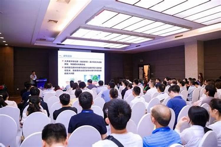 草莓园的黄金三角：土壤、肥料与水分的科学管理