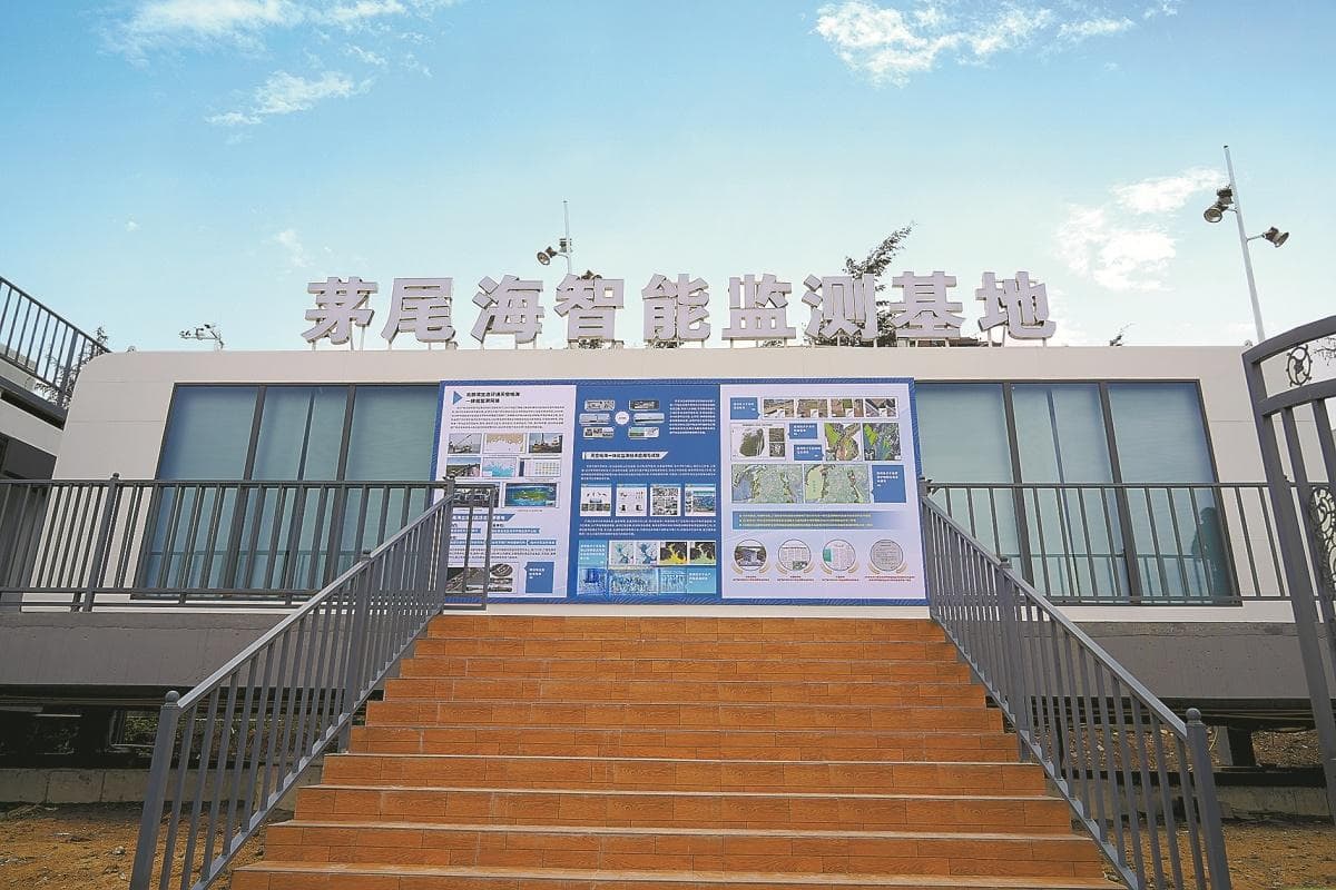 平陆运河：讲述人与自然和谐共生的故事