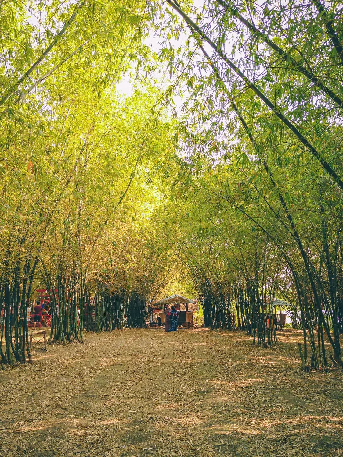 竹林七贤的“躺平”哲学：魏晋名士的自由与反抗