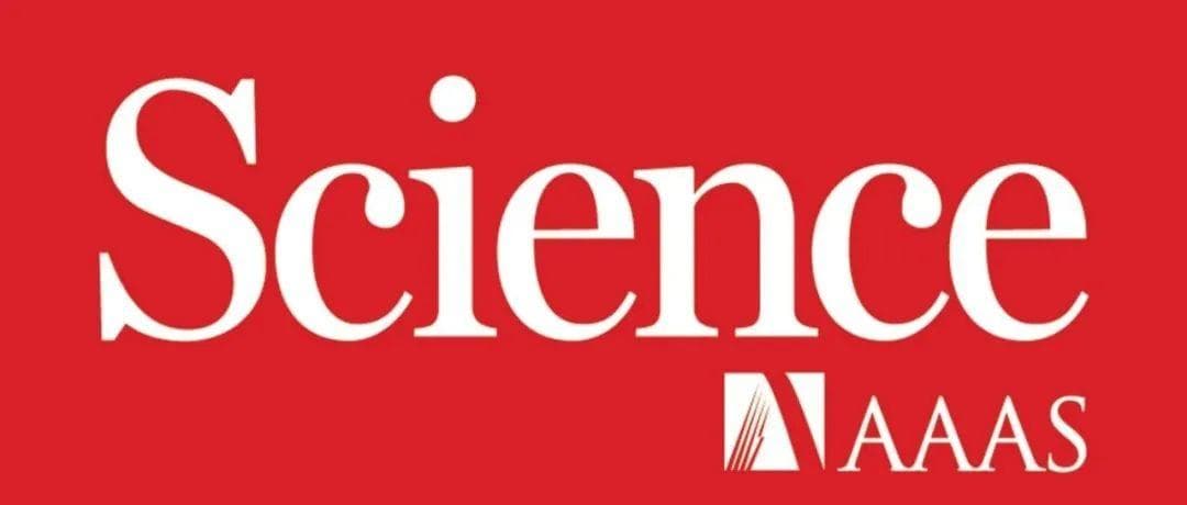 首次！科学家“看到”了水中的氢键网络