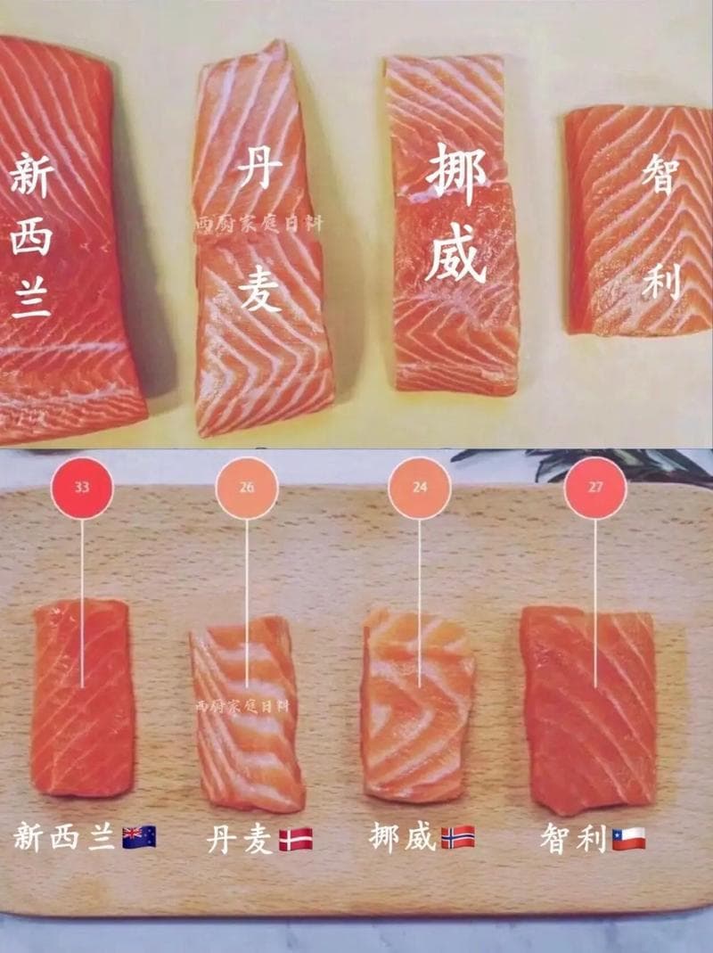 挪威三文鱼比智利三文鱼贵（智利和挪威的三文鱼有什么区别）
