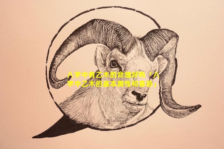 八字中有乙木的命理好吗？乙木的基本属性和喜忌全解析