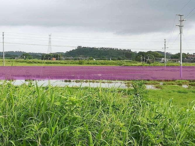 海南跟团旅游全攻略：必知注意事项与实用贴士
