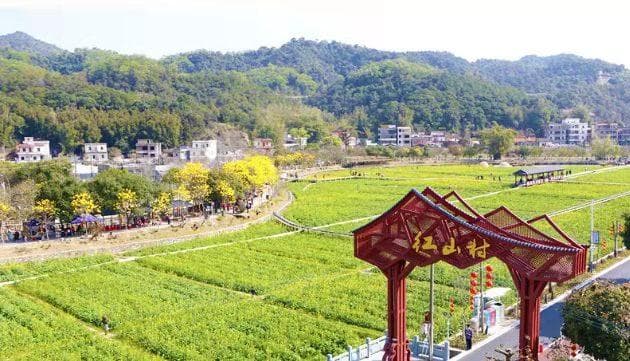 邀您花城寻美 | 醉美花都 奔赴美丽之约