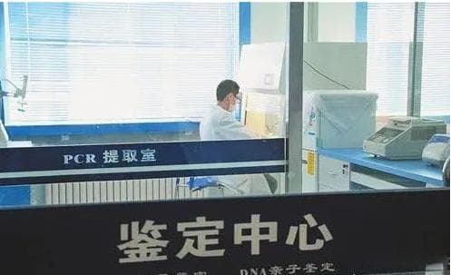 哪些情况下需要亲子鉴定？司法与个人用途案例汇总