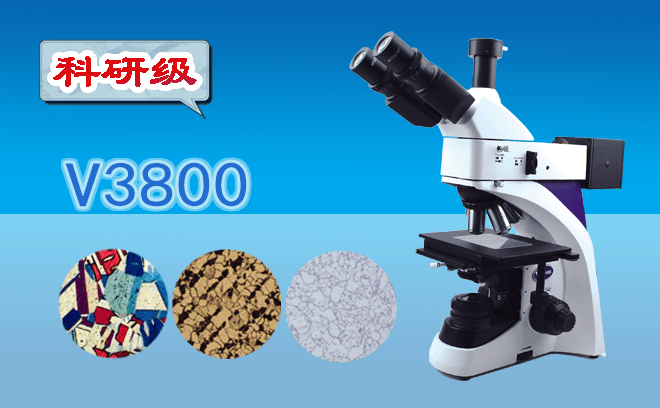 金相显微镜使用技巧详解：从安装到图像分析的全方位指南