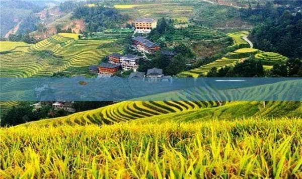 天子山景区游玩攻略：门票、交通、景点一文全览