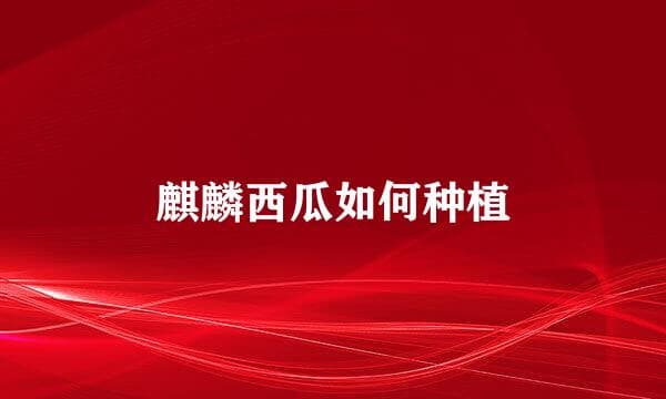 麒麟西瓜的种植方法与管理要点