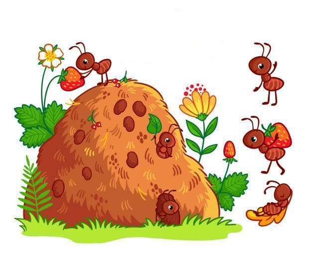 从蚂蚁身上窥探神奇！蚂蚁与植物是如何成为盟友的？