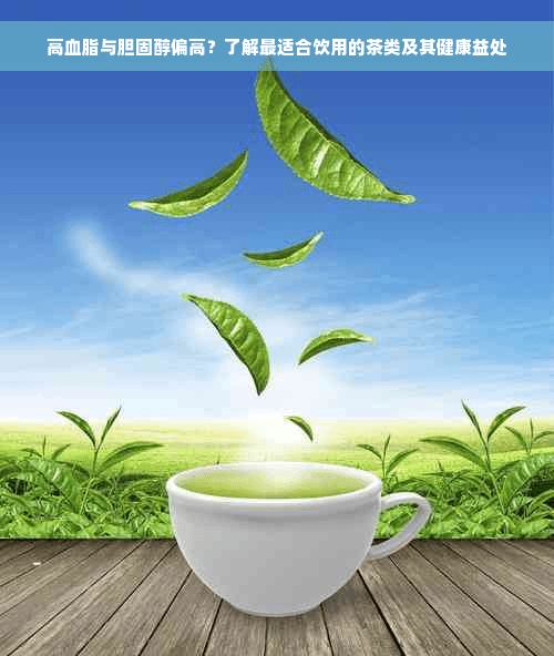9种降脂茶饮推荐：从荷叶茶到首乌茶的功效与选择指南