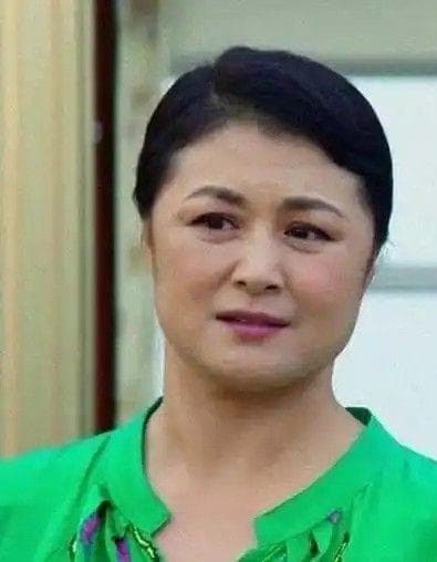 《乡村爱情15》即将上线：新面孔加入，经典IP如何续写传奇？