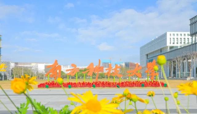 南方科技大学：年轻高校的创新之路