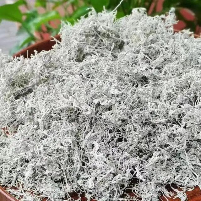 莓茶每斤1200元贵不贵？莓茶价格为何差异巨大？