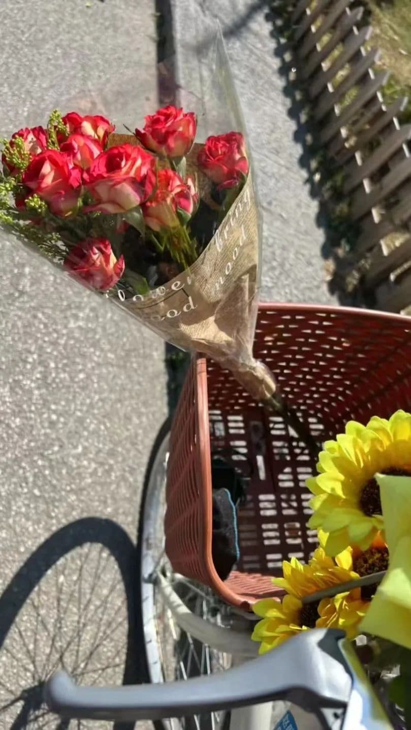 春暖花开，为什么人却EMO了？丨贤医健康说