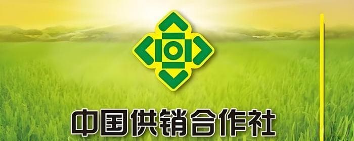 中国供销合作社发展综述：定义、性质、职能及发展历程