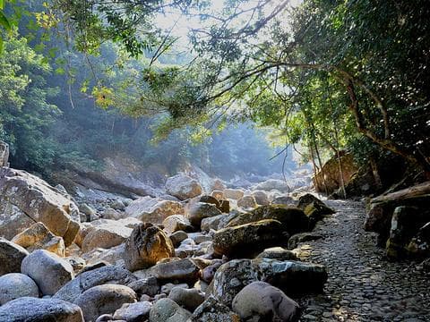 探秘十万大山国家森林公园