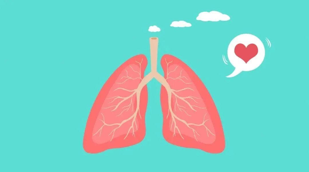 你的肺功能可能在悄悄变差！简单自测+锻炼秘籍请查收→