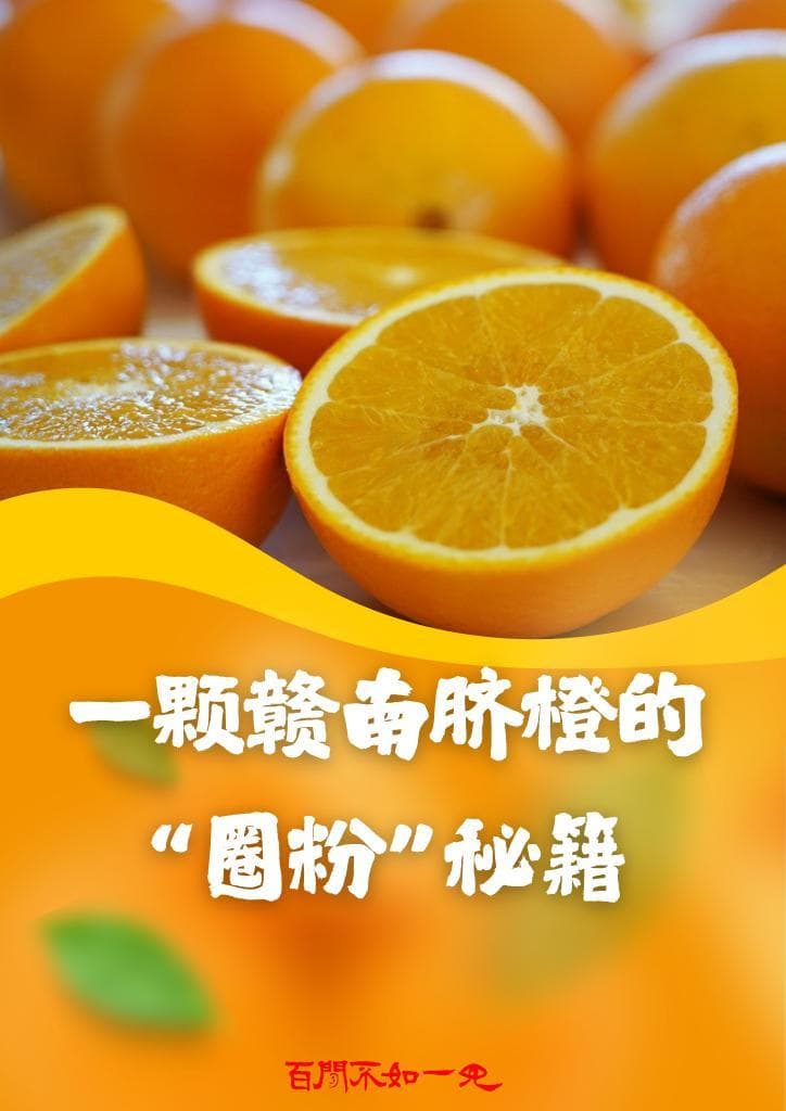 百闻不如一见｜一颗赣南脐橙的“圈粉”秘籍