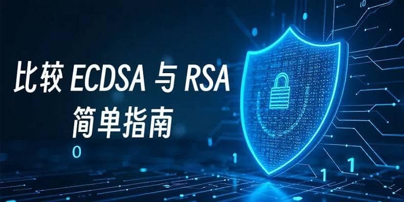 比较 ECDSA 与 RSA：简单指南