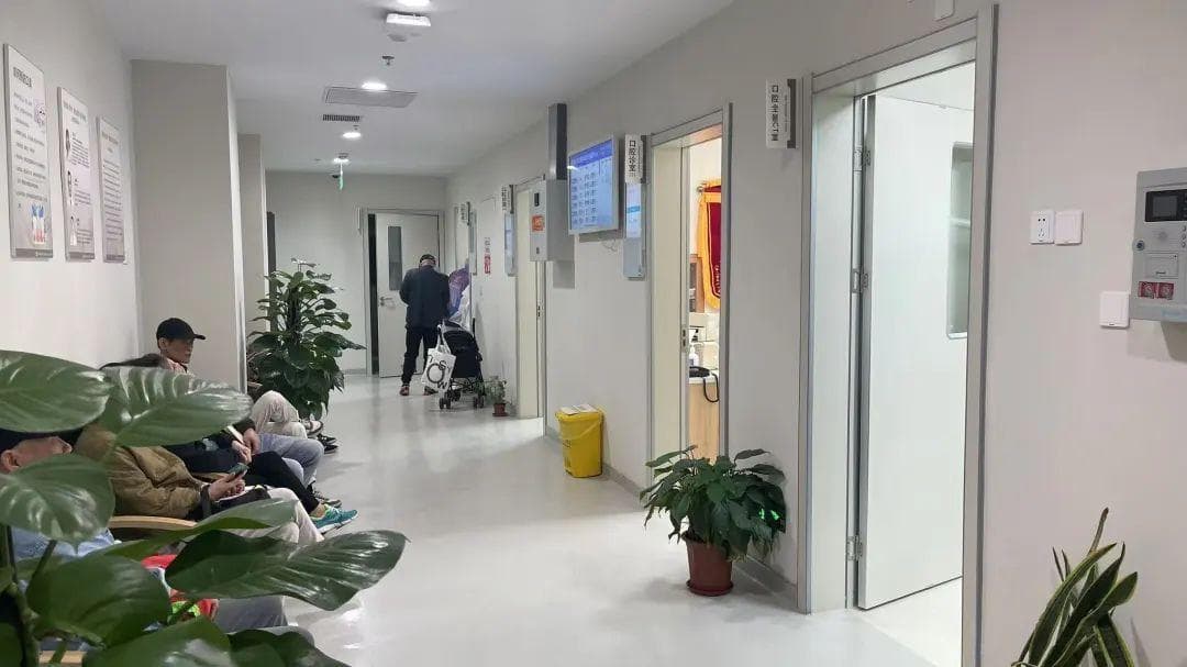 徐汇区社区口腔诊室增至14家，牙科就诊量激增五成