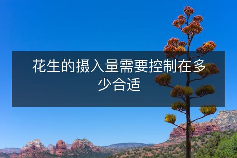 花生的摄入量需要控制在多少合适
