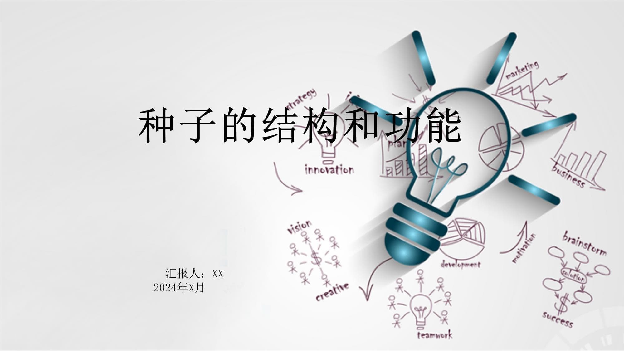 种子的结构、功能与应用：从基础到未来展望