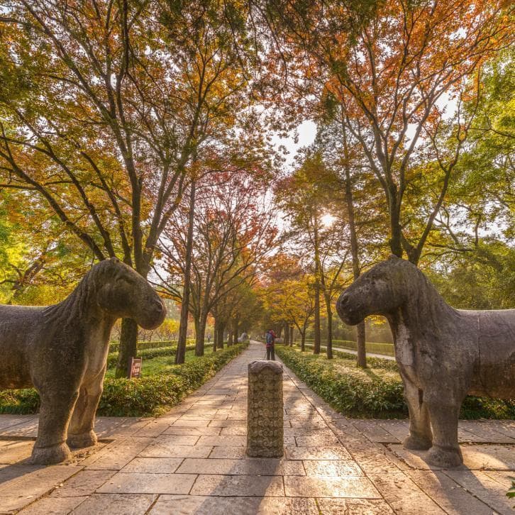 南京文旅观察⑩ | 秋日色卡⇋花园城市，南京入秋美如金陵
