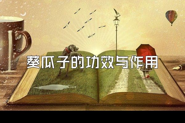 葵瓜子的功效与作用