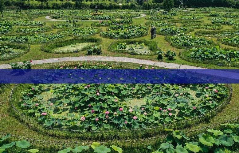三月云南旅游路线：赏花、探秘古镇与自然奇观