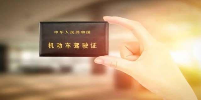 B2驾驶证可以开什么车