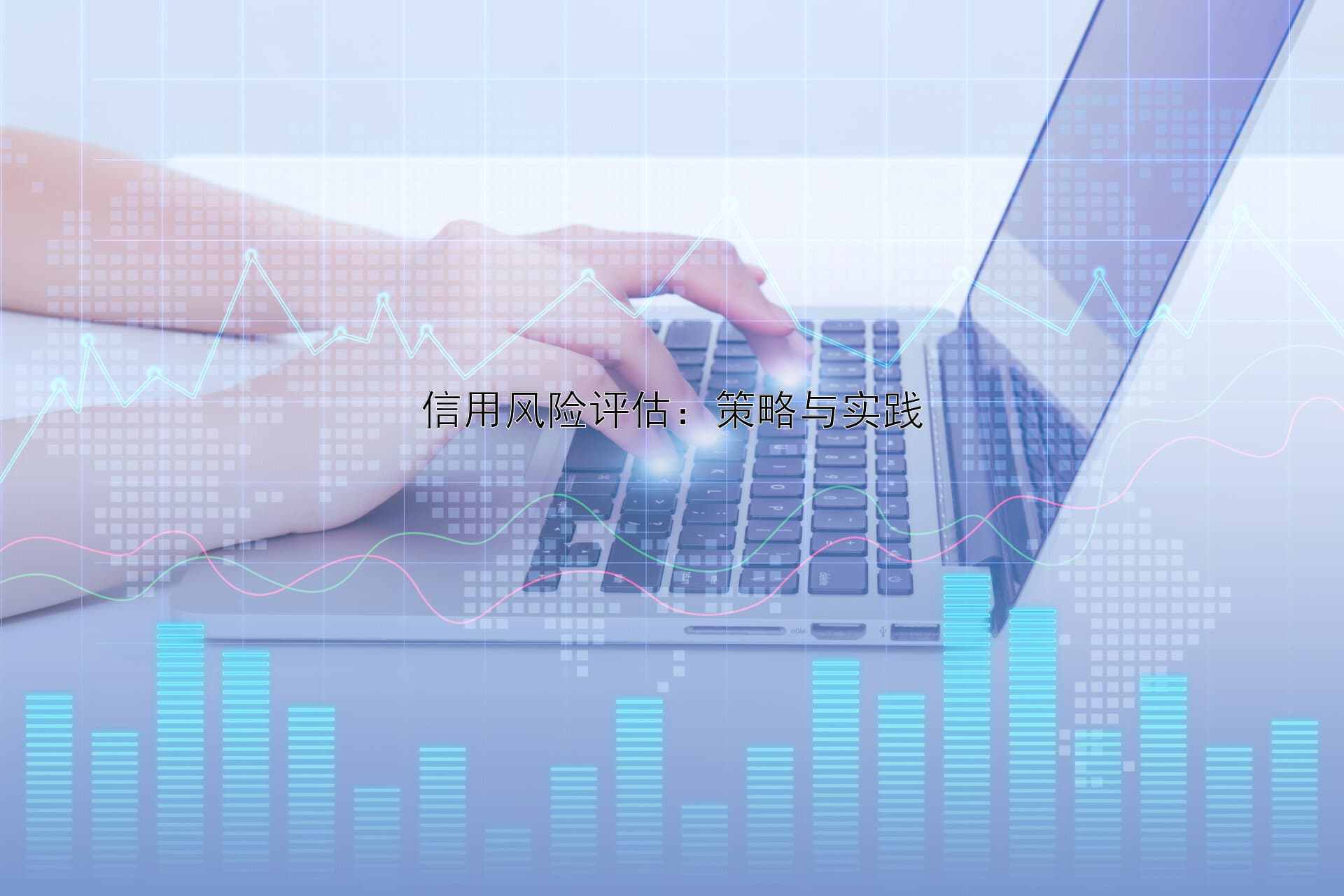 信用风险评估：策略与实践