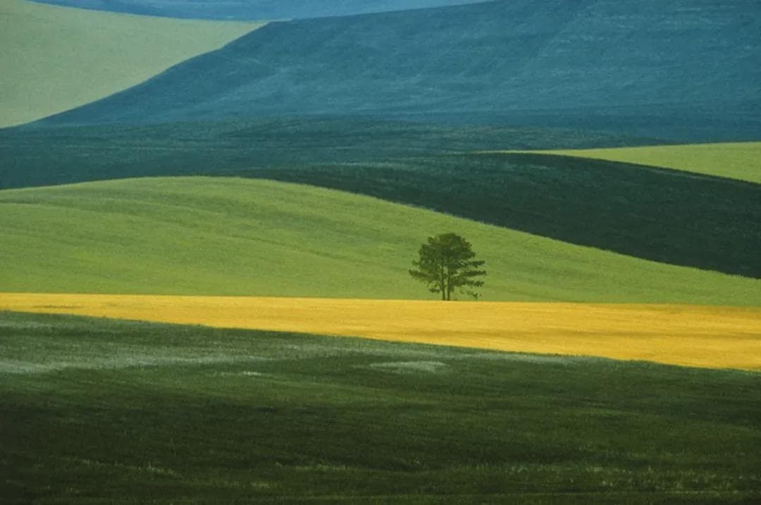 极简风景抽象色彩 | Franco Fontana