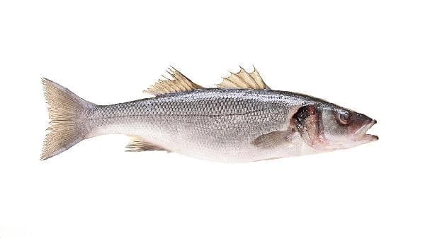 清蒸鲈鱼的最佳时间及技巧详解