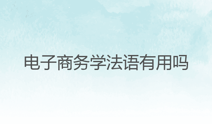 电子商务学法语有用吗