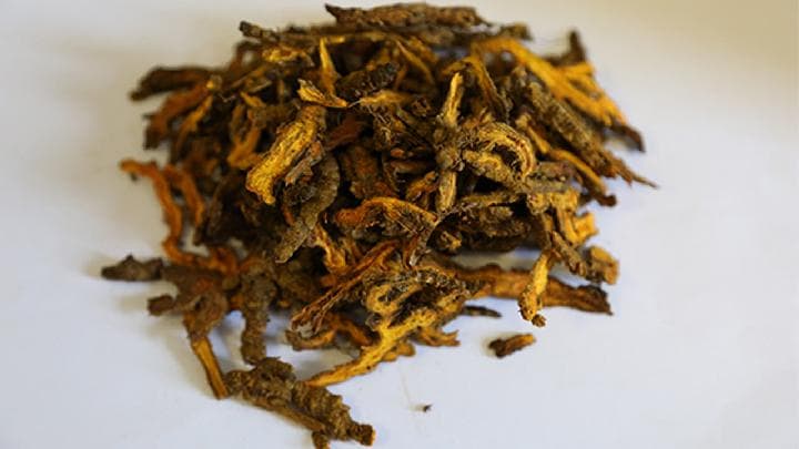 黄连上清丸的作用与功效